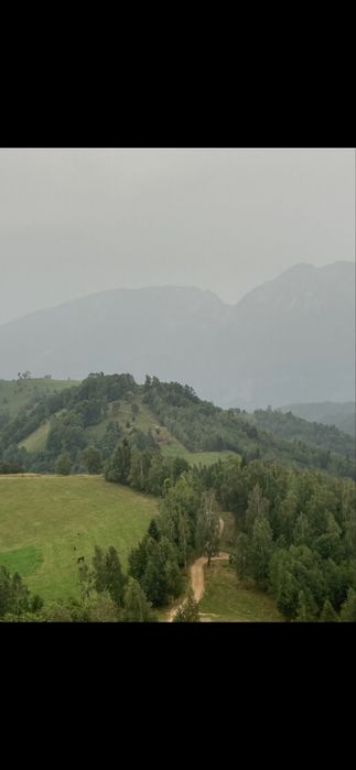 Teren extravilan 2 parcele