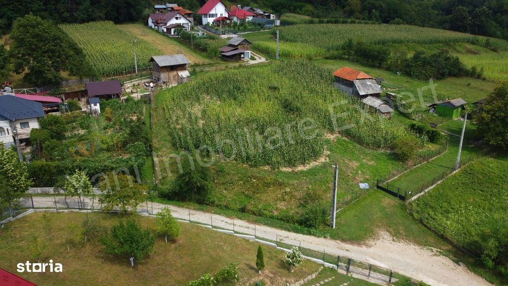 Teren de vânzare în comuna Băiculești, sat Tutana, județ Argeș.