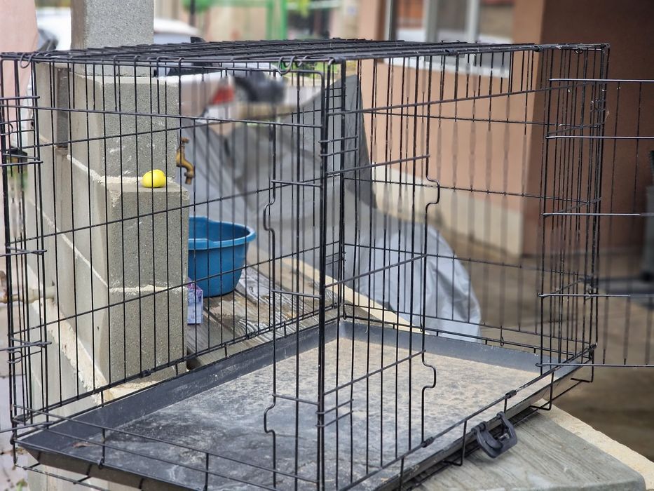 Метална клетка за куче