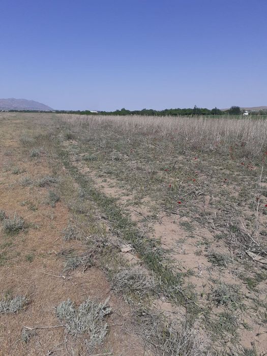 Yer, Uchaska sotiladi Qo'shrabot