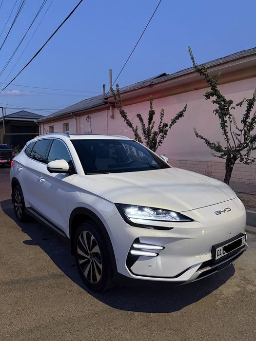 Byd chempion Honor
