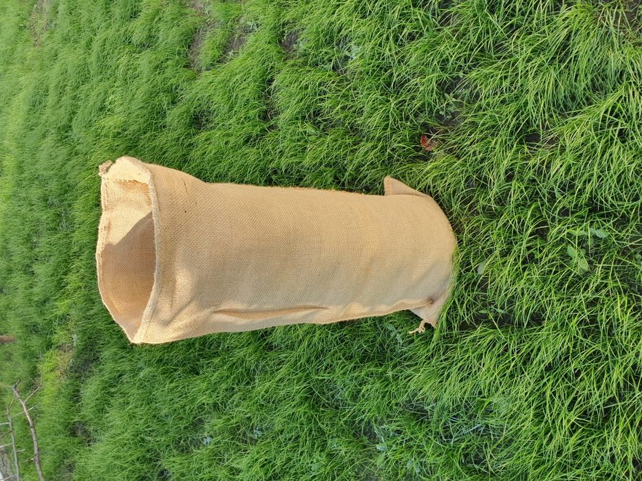 saci iuta ne inscriptionati