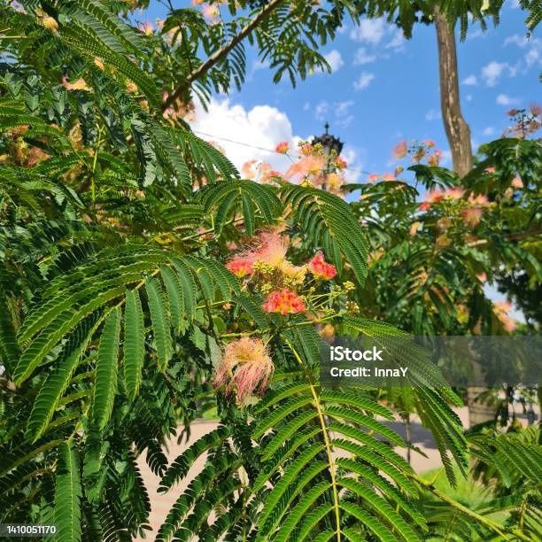 Ular bechora qizni koz yoshlari bilan sikishdi (qattiq porno)