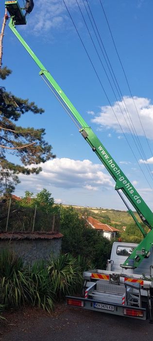 Рязане на опасни дървета