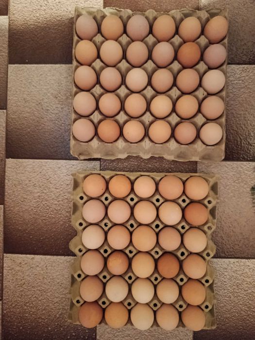 Продавам домашни яйца