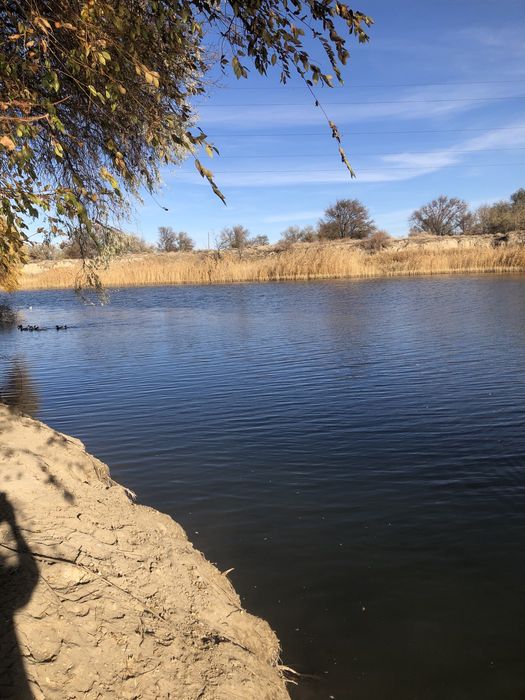 Продам зарыбленное озеро