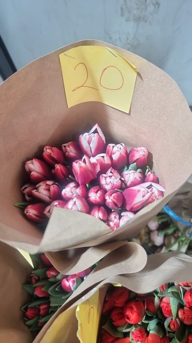 Тюльпаны Пионовидные