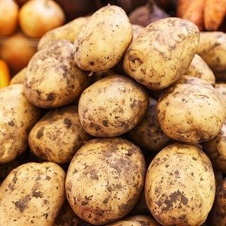 Продам картофель.