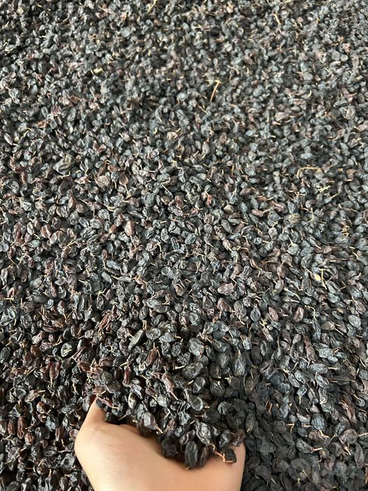Qora kishmish Mayiz sotiladi  10 000 kg