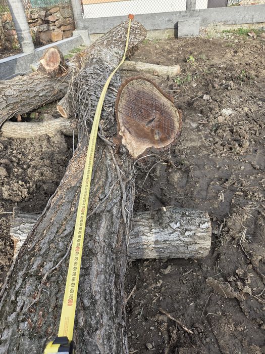 Дървен матерял,орех