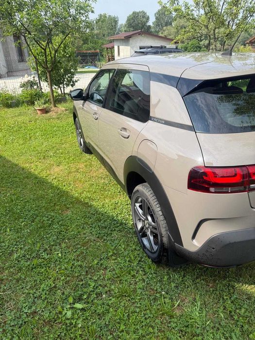 Citroen C4 cactus