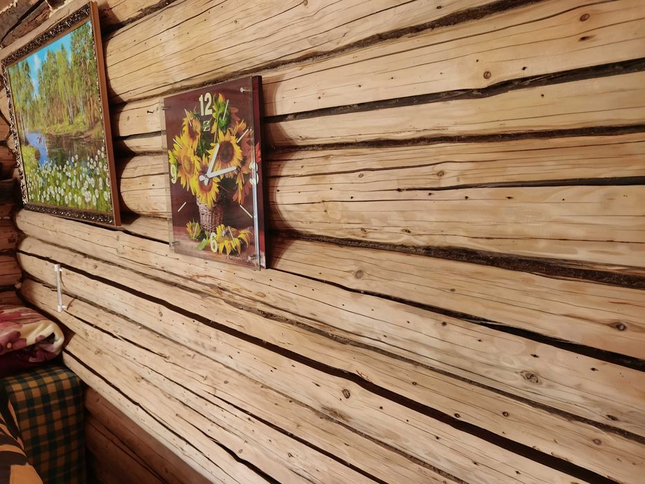 Дом в с.Черемшанка