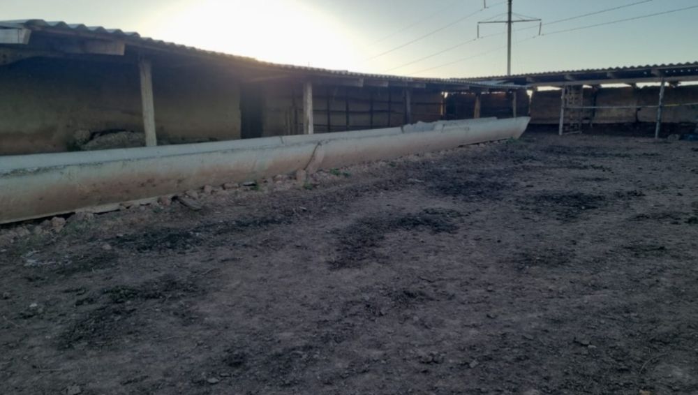 Фазенда, дача, үй