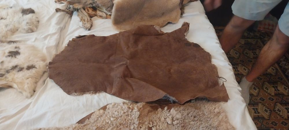 Агнешки кожи  за кожуси и чхли