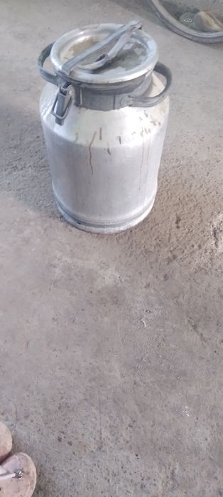 Vilak sotilade 35 letr xolade yaxshe yog'neke  300000 so'm  keleshtere