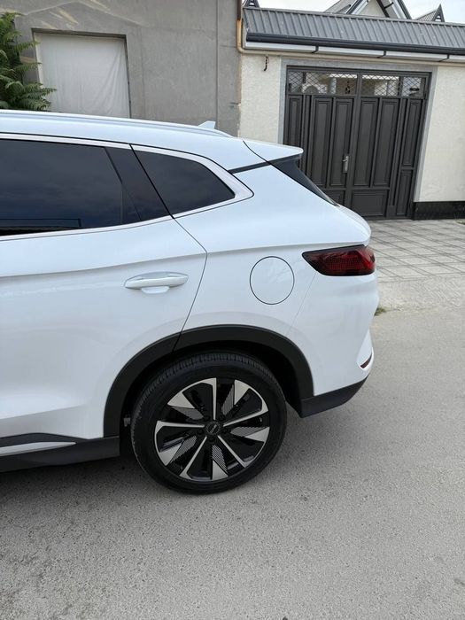 Byd chempion Restailing 2024