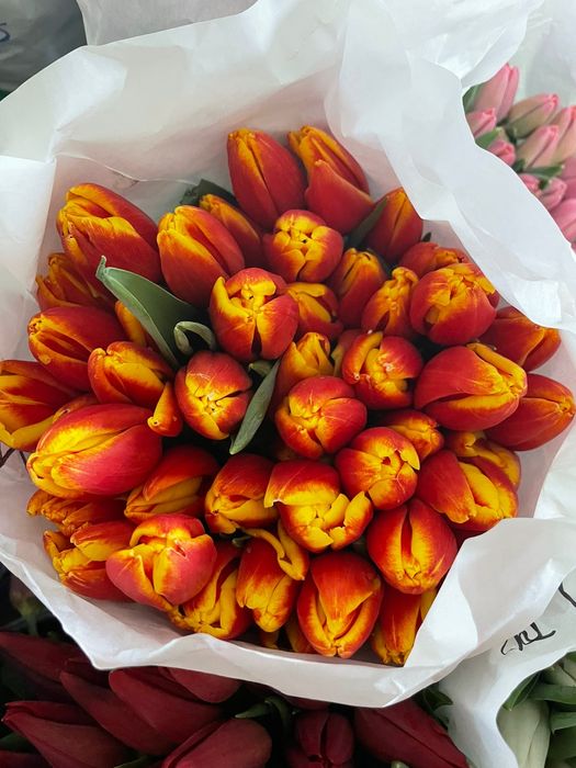 Тюльпаны цветы в наличии