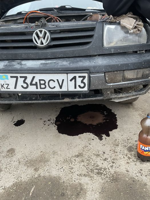 Соқа дау корпус