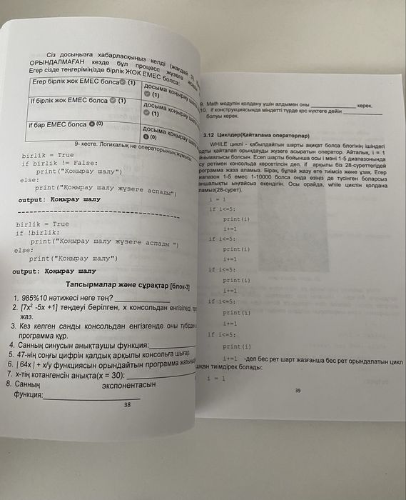 книга для подготовки ЕНТ, информатика