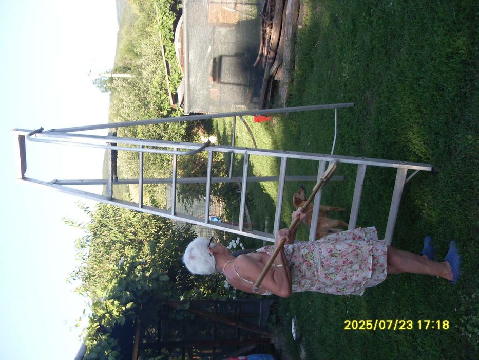 Scara aluminiu cu platforma