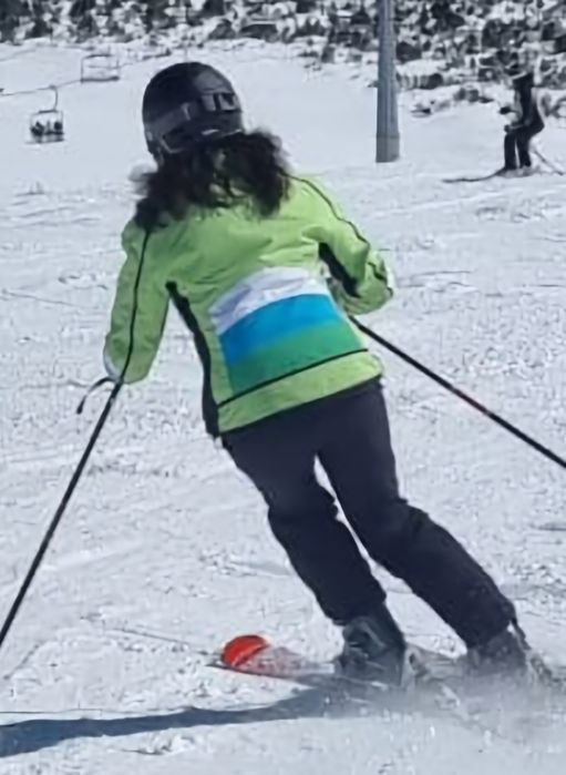 Дамско яке за ски Diel Sport Ultra