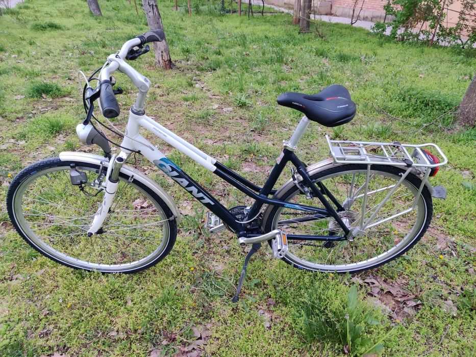 Bicicleta  Giant Freerider