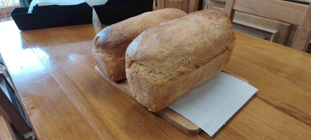 Vand pâine făcută în casă din grâu integral