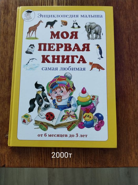 Моя первая книга