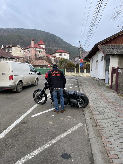 harley davidson  custom 2007
