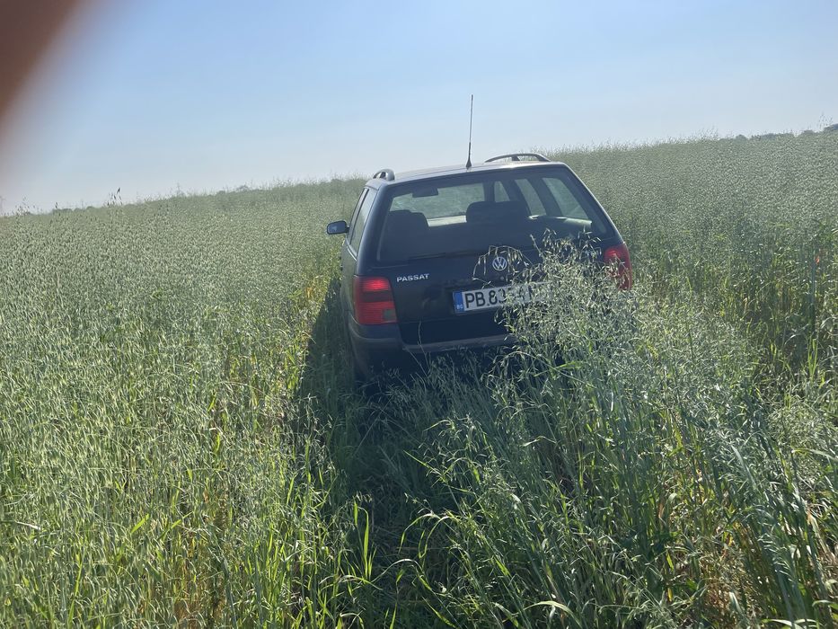 Бали люцерна, овес смески със грах сено