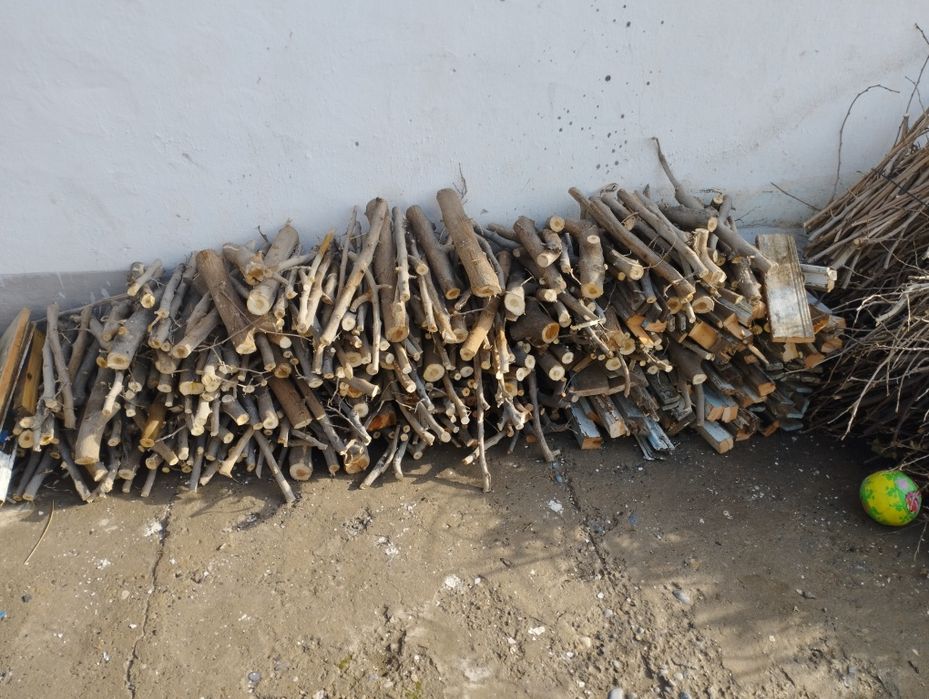 Отин сотилаи.мевали