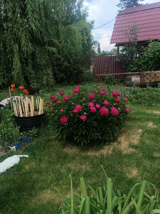 Продам зимнюю дачу в городе