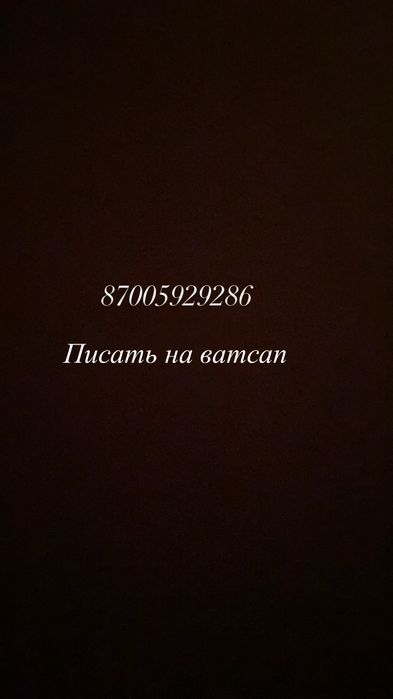 Отдам котёнка в добрые руки