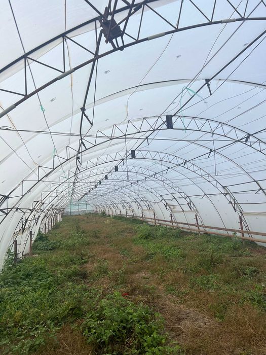 Полиетиленови оранжерии