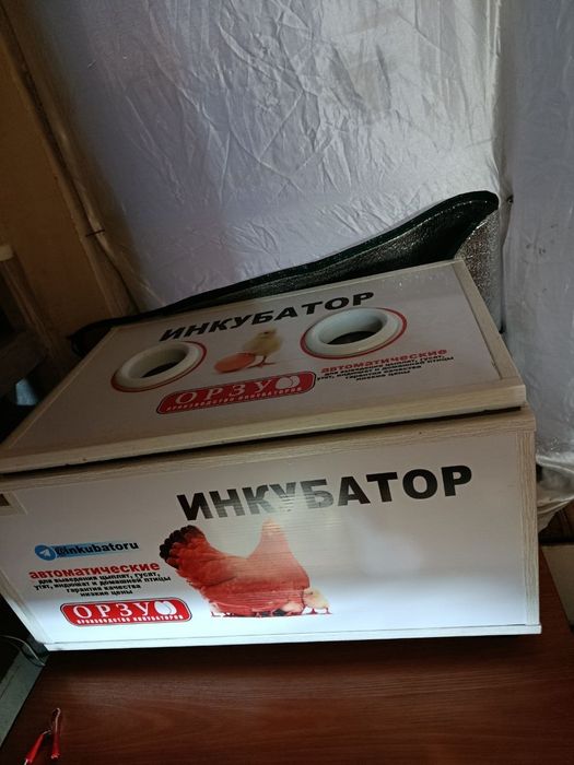 Orzu inkubator 150 tali  B/U