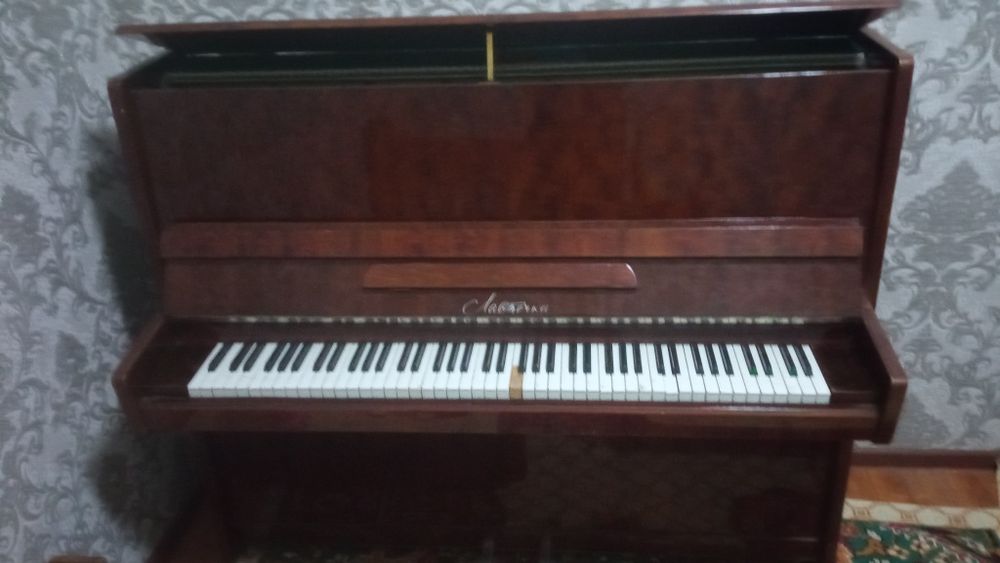 Pionina yangi va extiyotlab uy sharoitida foydalanilgan