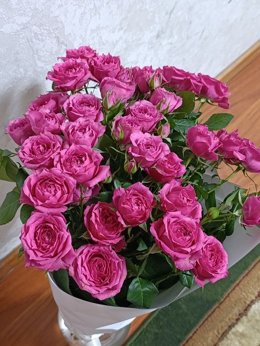 Продам цветы сегодняшние