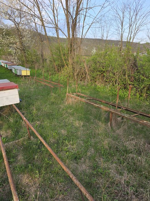 Vând stupi si rampe  in stare buna