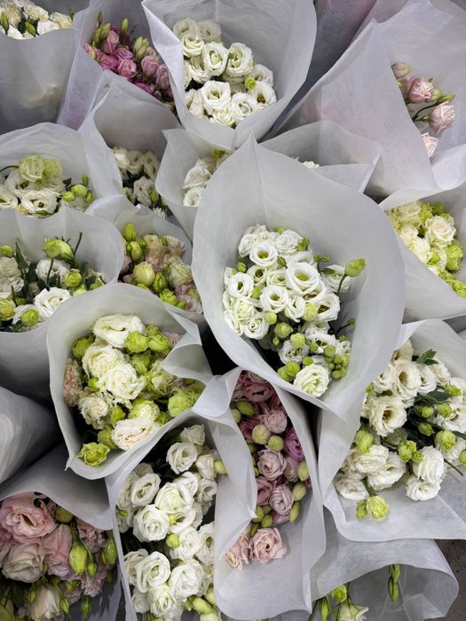 Розы всех сортов в ассортименте!