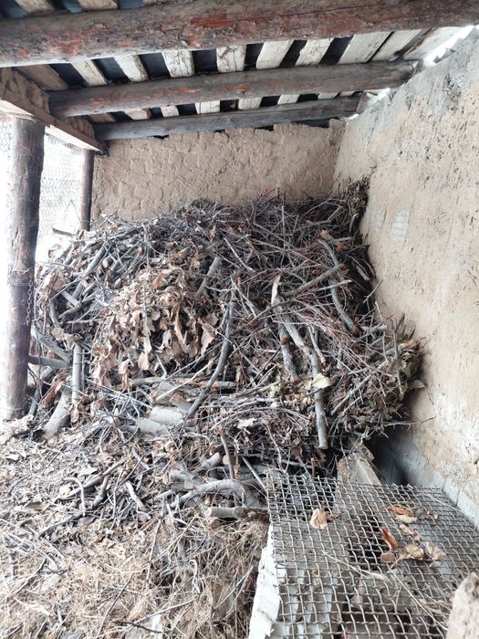 Отын трава отын агаш