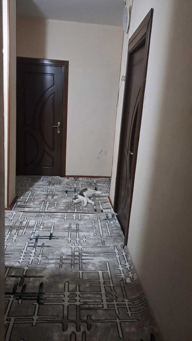 Ц-13 Квартира в центре города 84 кв.м