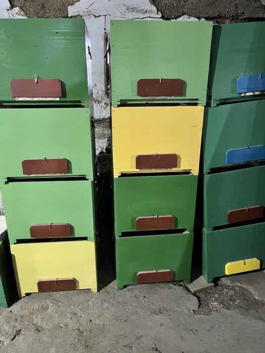 Vand stupi pe 12 rame