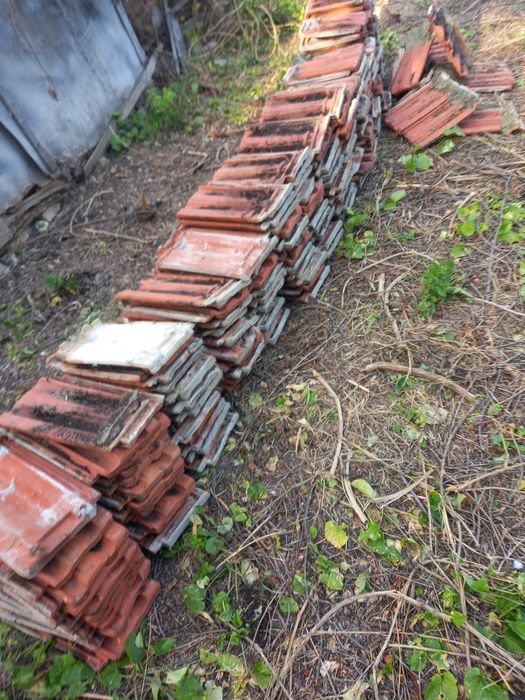 продавам 350 бр. kеремиди български употребявани-0,30ст бройката