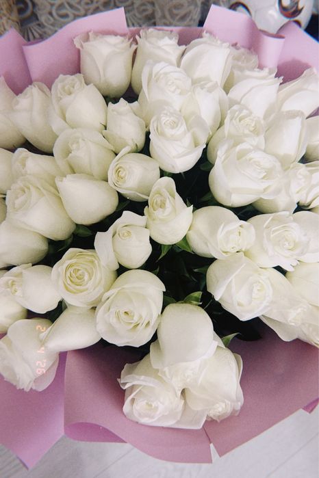 51 ақ роза казіргі