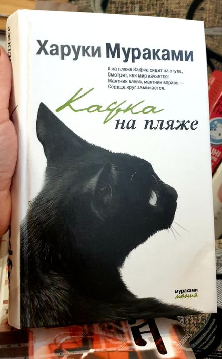 Книги Харуки Мураками, Ю Несбё