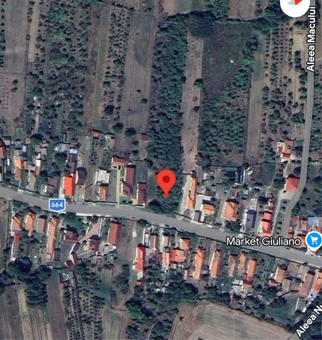 Teren intravilan Turcinesti