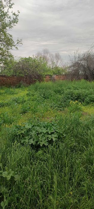 Дава се под наем Къща в с. Пъдарско, Област Пловдив - 300 кв.м за 45000 € - Снимка #4