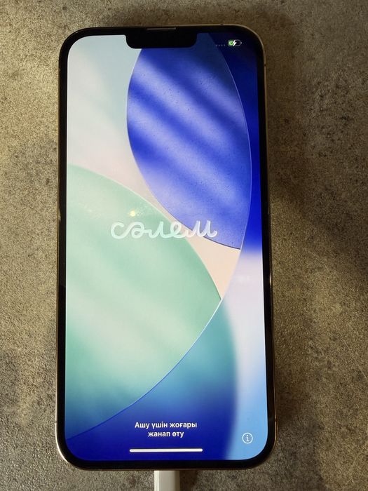 Iphone 13 pro max , 256