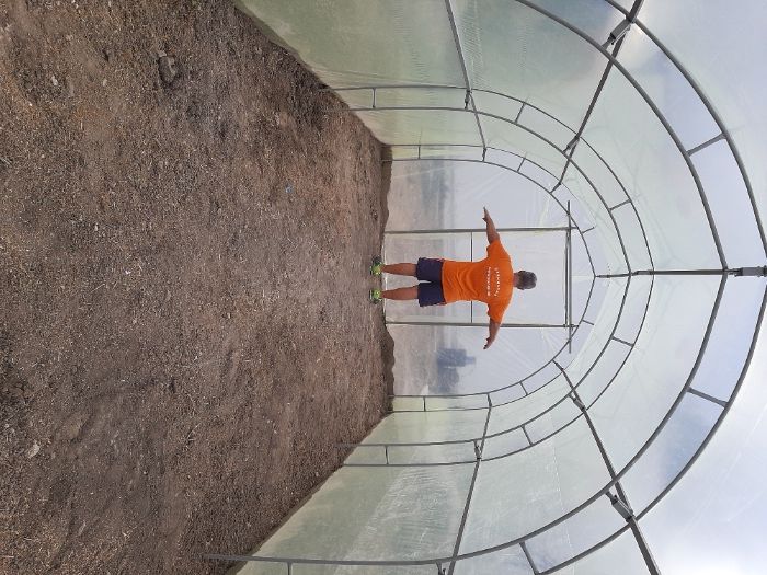 Оранжерии/Парници