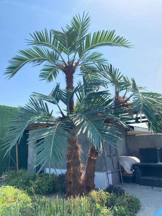 Sun'iy eko palmalar | bepul dizayn loyihasi | 30% chegirma